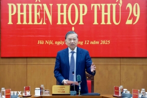Phiên họp thứ 29 của Ban Chỉ đạo Trung ương về Phòng, chống tham nhũng, lãng phí, tiêu cực