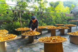 Bản làng Thái Hải - Mô hình OCOP Du lịch 5 sao