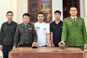Hà Tĩnh: Tiếp nhận 2 cá thể rùa quý hiếm để thả về môi trường tự nhiên