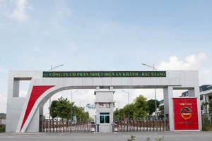 Thanh tra Chính phủ chỉ rõ nhiều vi phạm tại dự án Nhà máy nhiệt điện An Khánh-Bắc Giang