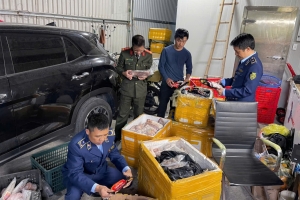 Ninh Bình phát hiện, tiêu hủy hơn 700 kg thực phẩm không rõ nguồn gốc