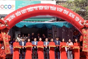Hưng Yên: Tổ chức giới thiệu và bán sản phẩm OCOP tại xã Khoái Châu