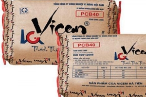 Xi măng VICEM Hà Tiên bị xử phạt do vi phạm thuế, lợi nhuận 9 tháng vượt kế hoạch năm