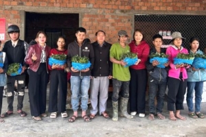 Đà Nẵng trao gần 35.000 cây sâm giống cho đồng bào Xơ Đăng