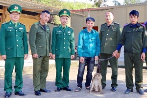 Hà Tĩnh: Tiếp nhận cá thể khi đuôi lợn để thả về môi trường tự nhiên