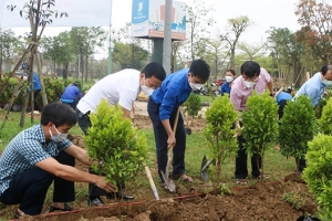 Hà nội tổ chức “Tết trồng cây đời đời nhớ ơn Bác Hồ” Xuân Bính Ngọ 2026