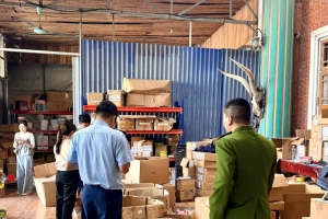 Ninh Bình thu giữ hơn 2.200 sản phẩm đồ chơi nhập lậu