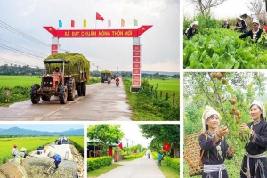 Quản lý, sử dụng vốn ngân sách nhà nước trong thực hiện chương trình mục tiêu quốc gia