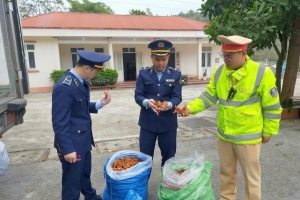 Lạng Sơn phát hiện xe tải vận chuyển 2,7 tấn chân gà không rõ nguồn gốc