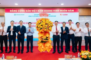 Casumina vào Top 5 đơn vị có doanh thu cao nhất