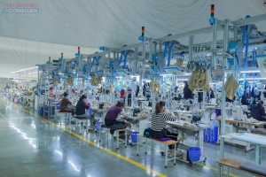 Thái Nguyên: Thu ngân sách năm 2025 tăng mạnh, lập “cột mốc mới” - 29 000 tỷ đồng