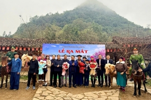 Ra mắt tour cưỡi ngựa khám phá Lũng Cú - Trải nghiệm mới nơi cực Bắc Tuyên Quang