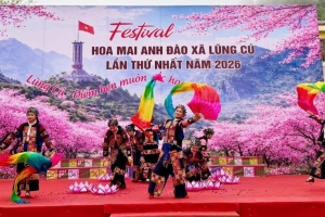 Tuyên Quang khai mạc Festival hoa mai anh đào lần thứ nhất năm 2026