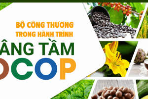 Nâng tầm chương trình OCOP: Từ phát triển số lượng sang chiều sâu chất lượng