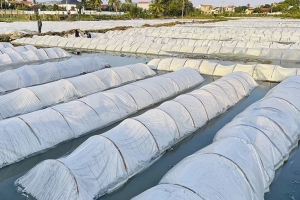 Thanh Hóa chuẩn bị các điều kiện sản xuất vụ xuân