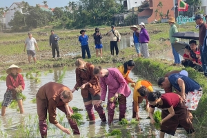 Đà Nẵng: Độc đáo Lễ hội xuống đồng Hội An Đông 2026 thu hút đông đảo khách du lịch