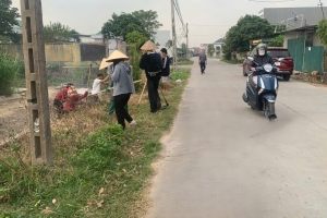 Phụ nữ phường Trần Nhân Tông tích cực tham gia bảo vệ môi trường xanh