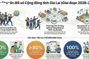 Gia Lai triển khai đề án phát huy vai trò đoàn viên, thanh niên trong chuyển đổi số cộng đồng