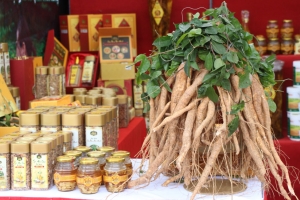 Bắc Ninh hỗ trợ khuyến khích phát triển các sản phẩm OCOP được công nhận 3 sao, 4 sao năm 2025