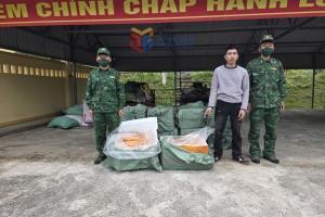 Quảng Ninh bắt giữ đối tượng vận chuyển trái phép 450kg trứng gà non đông lạnh