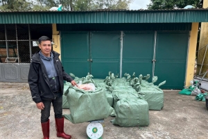 Quảng Ninh: Bắt giữ đối tượng vận chuyển 1,2 tấn thịt vịt đông lạnh nhập lậu trên biển