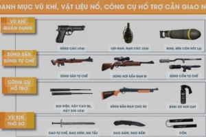 Ninh Bình: Xã Hải Hậu tăng cường quản lý vũ khí, vật liệu nổ và pháo