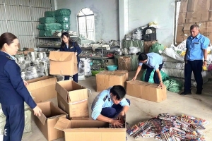 Gia Lai: Tạm giữ gần 2.000 sản phẩm đồ chơi và gia dụng nhập lậu dịp cận Tết