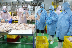 Bắc Ninh tăng cường kiểm dịch, kiểm soát giết mổ, bảo đảm an toàn thực phẩm dịp Tết
