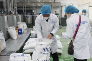 Ngành y tế Hải Phòng triển khai đợt cao điểm chống buôn lậu, hàng giả lĩnh vực y tế dịp Tết