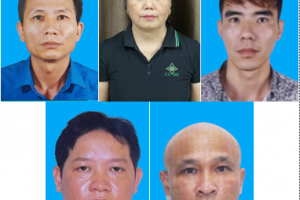 Công an TP. Hải Phòng khởi tố 9 bị can liên quan đường dây thu mua gần 130 tấn thịt lợn nhiễm bệnh