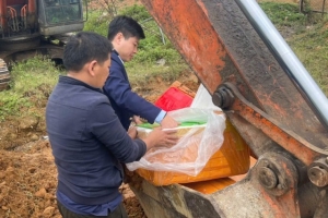 Nghệ An: Tiêu hủy 160 kg nội tạng lợn nhập lậu trong đợt cao điểm chống buôn lậu