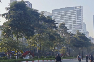 Thời tiết ngày 8/1: Không khí lạnh tăng cường, Bắc Bộ rét sâu, vùng núi cao có thể xuất hiện sương muối