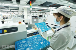 Thương mại song phương Việt Nam - Đức năm 2025 tăng trưởng ấn tượng