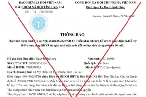 Gia Lai cảnh báo thủ đoạn giả mạo bảo hiểm xã hội gọi điện, lừa đảo chiếm đoạt tài sản