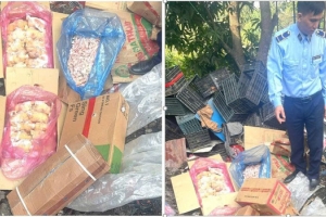 Sơn La: Thu giữ gần 400 kg chân gà, thịt đông lạnh không rõ nguồn gốc