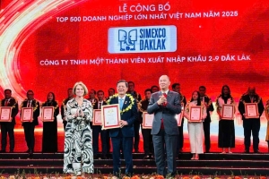 Simexco Daklak - Top 500 doanh nghiệp lớn nhất Việt Nam 2025