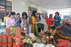 Đồng Tháp thực hiện đề án hỗ trợ phụ nữ khởi nghiệp