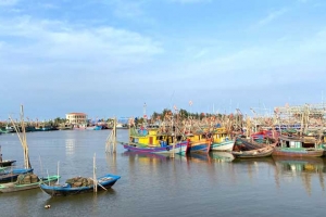 Ninh Bình quyết liệt chống khai thác thủy sản bất hợp pháp