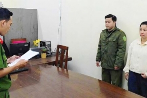 Công an TP. Đà Nẵng triệt phá đường dây buôn lậu tôm hùm xanh giống qua đường hàng không