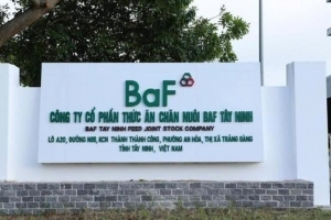 BaF Việt Nam (BAF) phát hành 1.000 tỷ đồng trái phiếu “3 không”