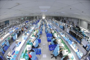 Ban hành tiêu chí nhân lực công nghệ số chất lượng cao