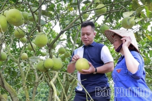 Nông nghiệp Phú Thọ: Ứng phó thiên tai hiệu quả, bảo đảm tăng trưởng ổn định