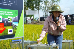 Từng bước hình thành hệ thống MRV cho trồng trọt giảm phát thải