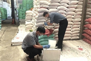 Cần Thơ: Số vụ buôn lậu, gian lận thương mại và hàng giả giảm 50%