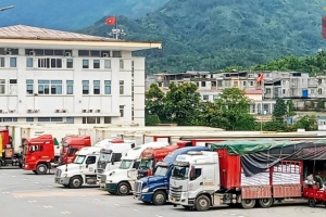 Xuất nhập khẩu qua lối thông quan Bắc Phong Sinh tăng trưởng mạnh đầu năm 2026