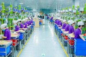 Nghệ An triển khai chuỗi ngày hội việc làm năm 2026, kết nối mạnh cung – cầu lao động