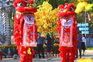 Đà Nẵng tổ chức Hội chợ Xuân Bính Ngọ 2026 với quy mô lớn