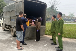 Phú Thọ: Tiêu hủy 1,2 tấn da và mỡ động vật bốc mùi hôi thối