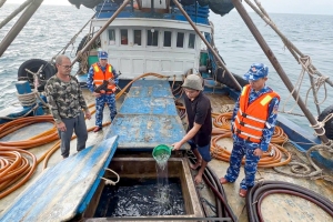 Bắt giữ tàu cá vận chuyển trái phép khoảng 100.000 lít dầu D.O trên biển