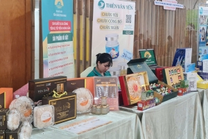 Yến Sào Việt Nam từ giá trị dinh dưỡng đến phát triển bền vững